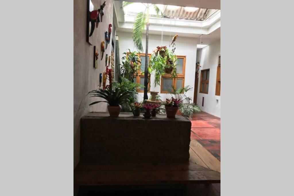 Parrot House San Antonio Apartment Кали Екстериор снимка